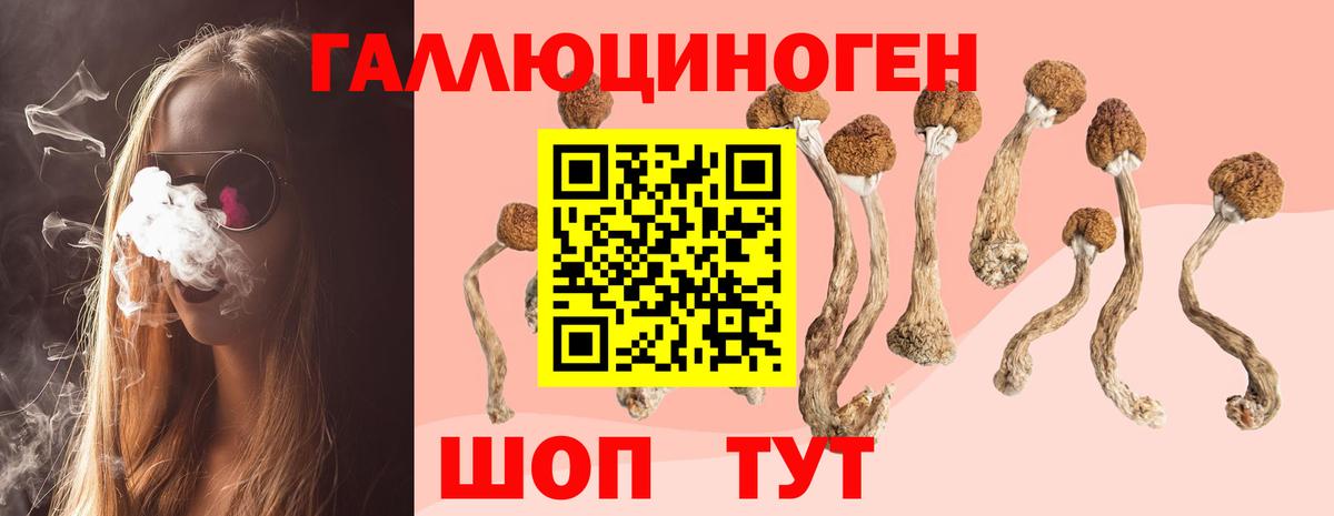 Галлюциногенные грибы прущие грибы Фрязино